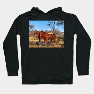 Wild Horses Hoodie